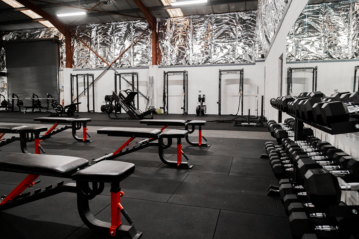 PT Adjustable Weight Bench