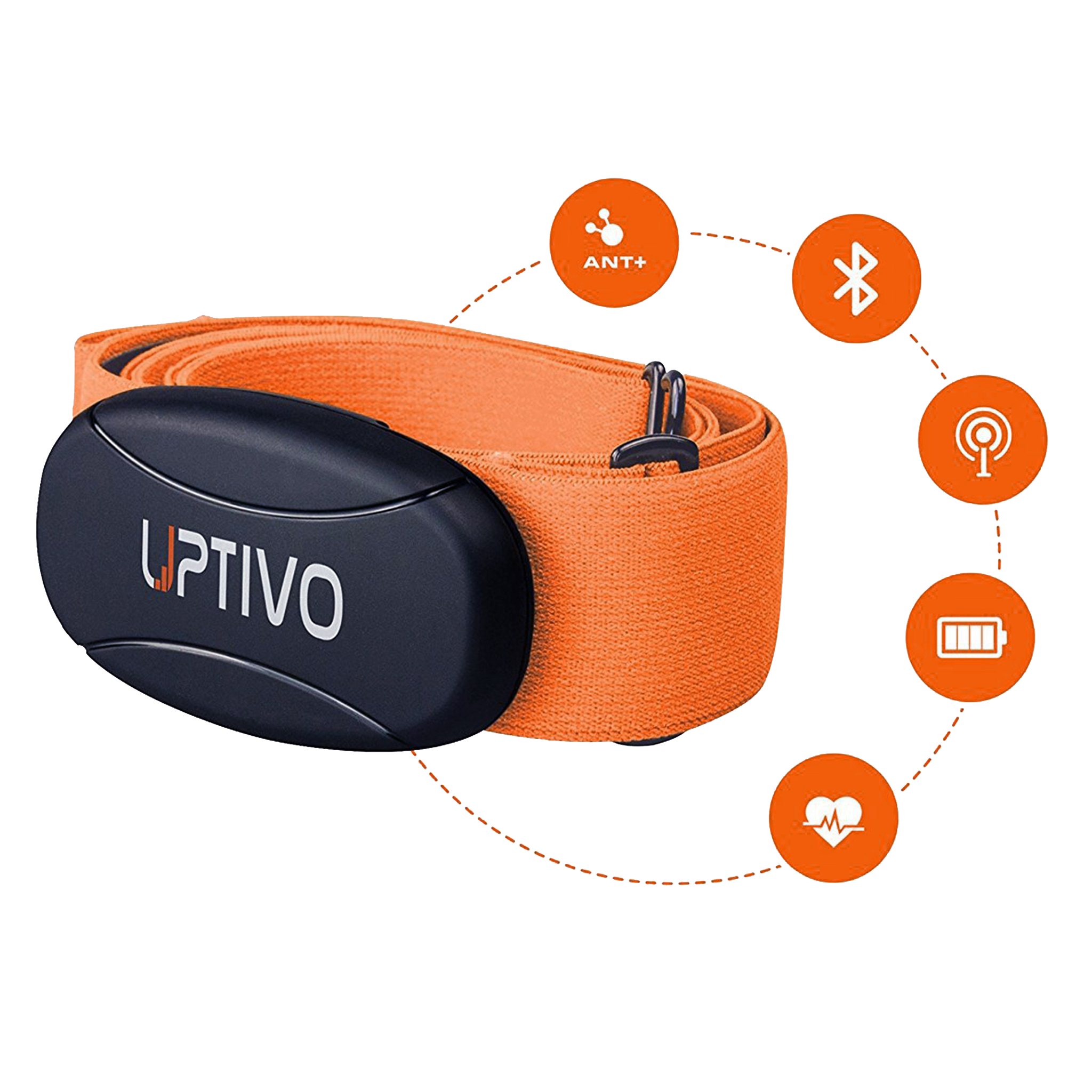 Uptivo Heart Rate Training System